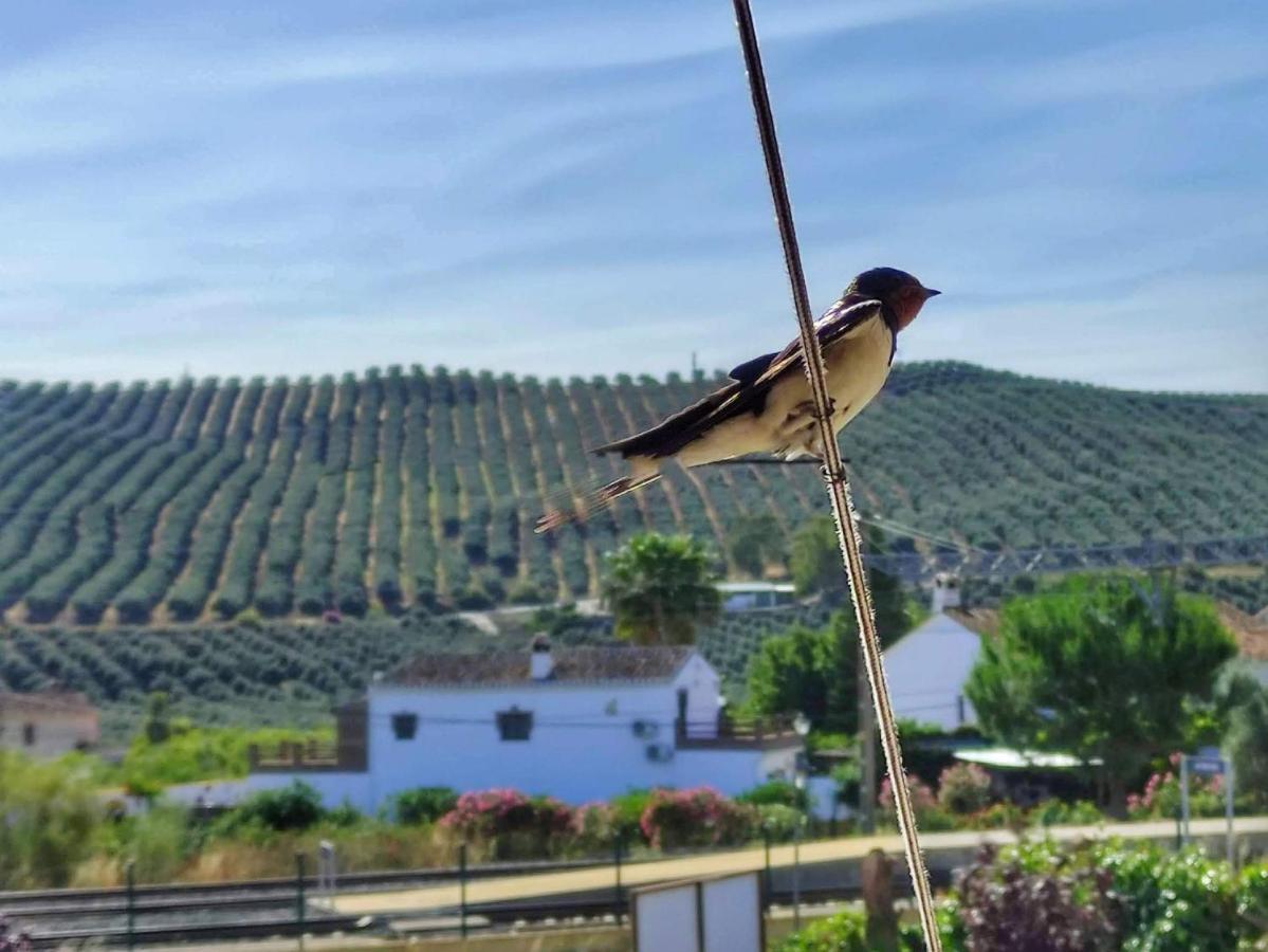 El Rancho Grande - Apartamento อะโลรา ภายนอก รูปภาพ